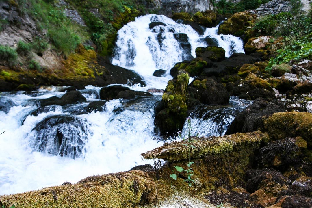 Ljutica River Spring