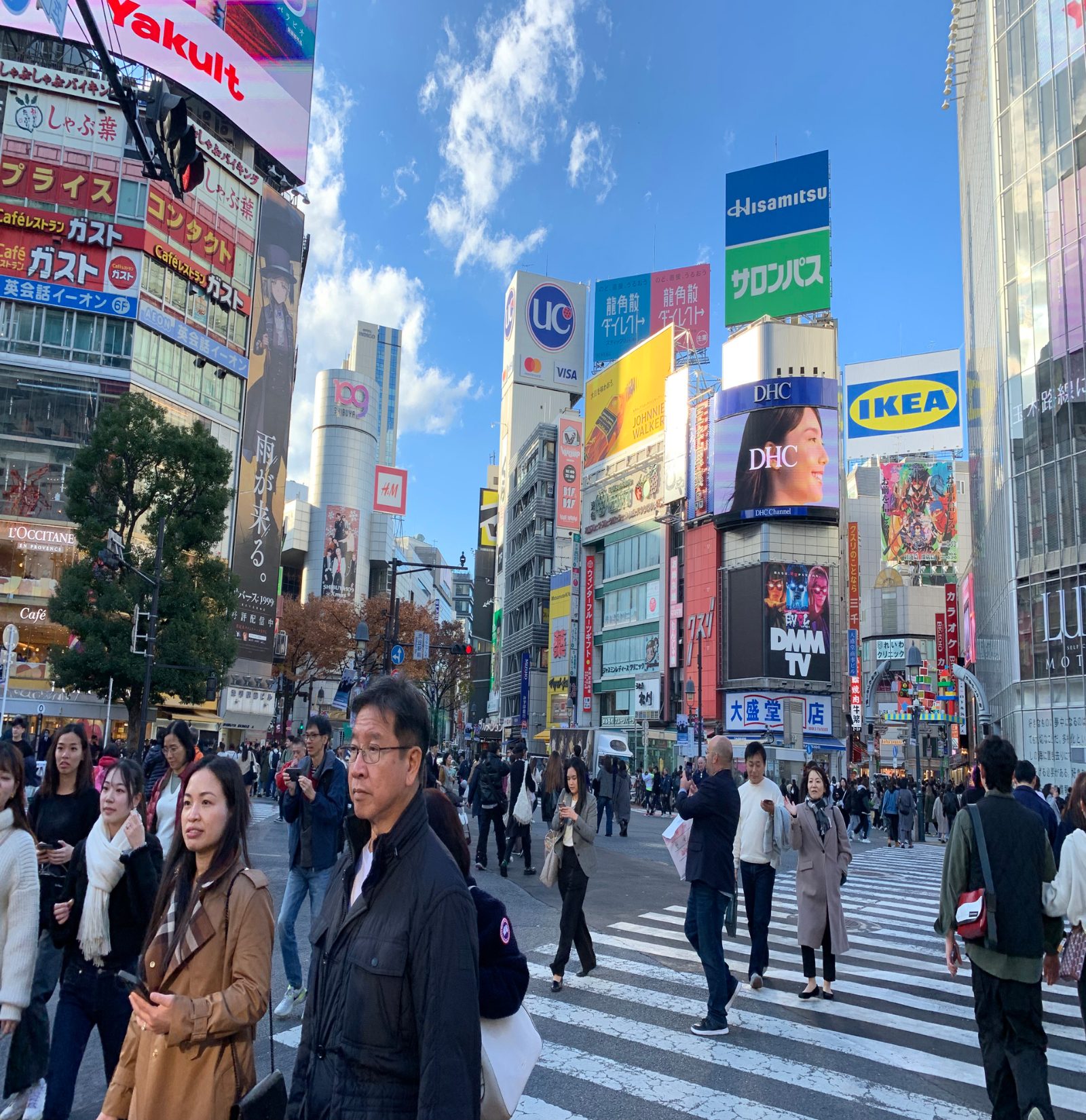 Shibuya and Harajuku Walking Tours