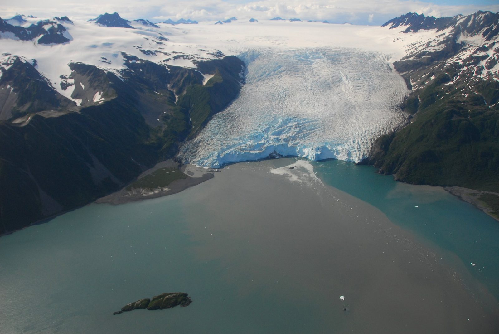 Kenai Fjords National Park Cruise from Seward
