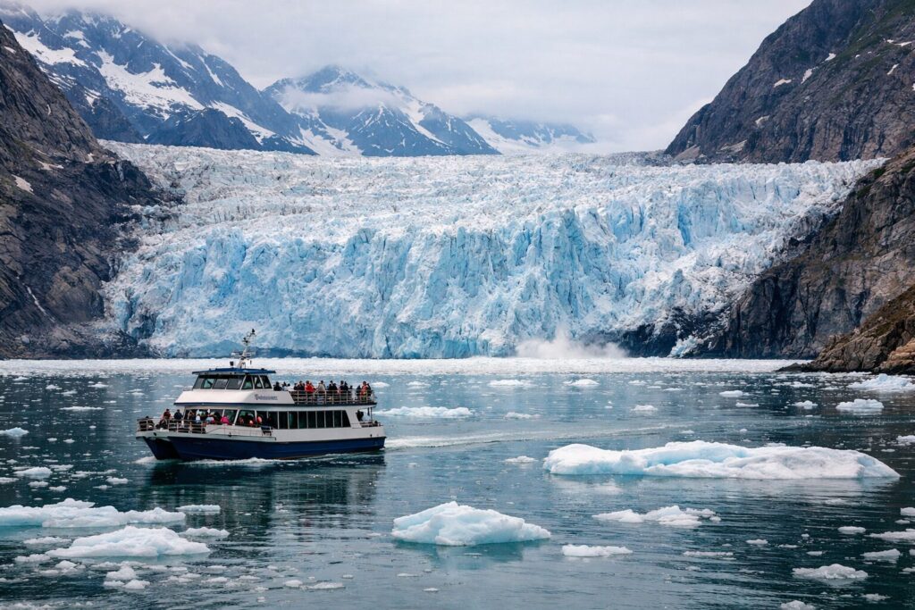 Your experience at Kenai Fjords National Park Cruise