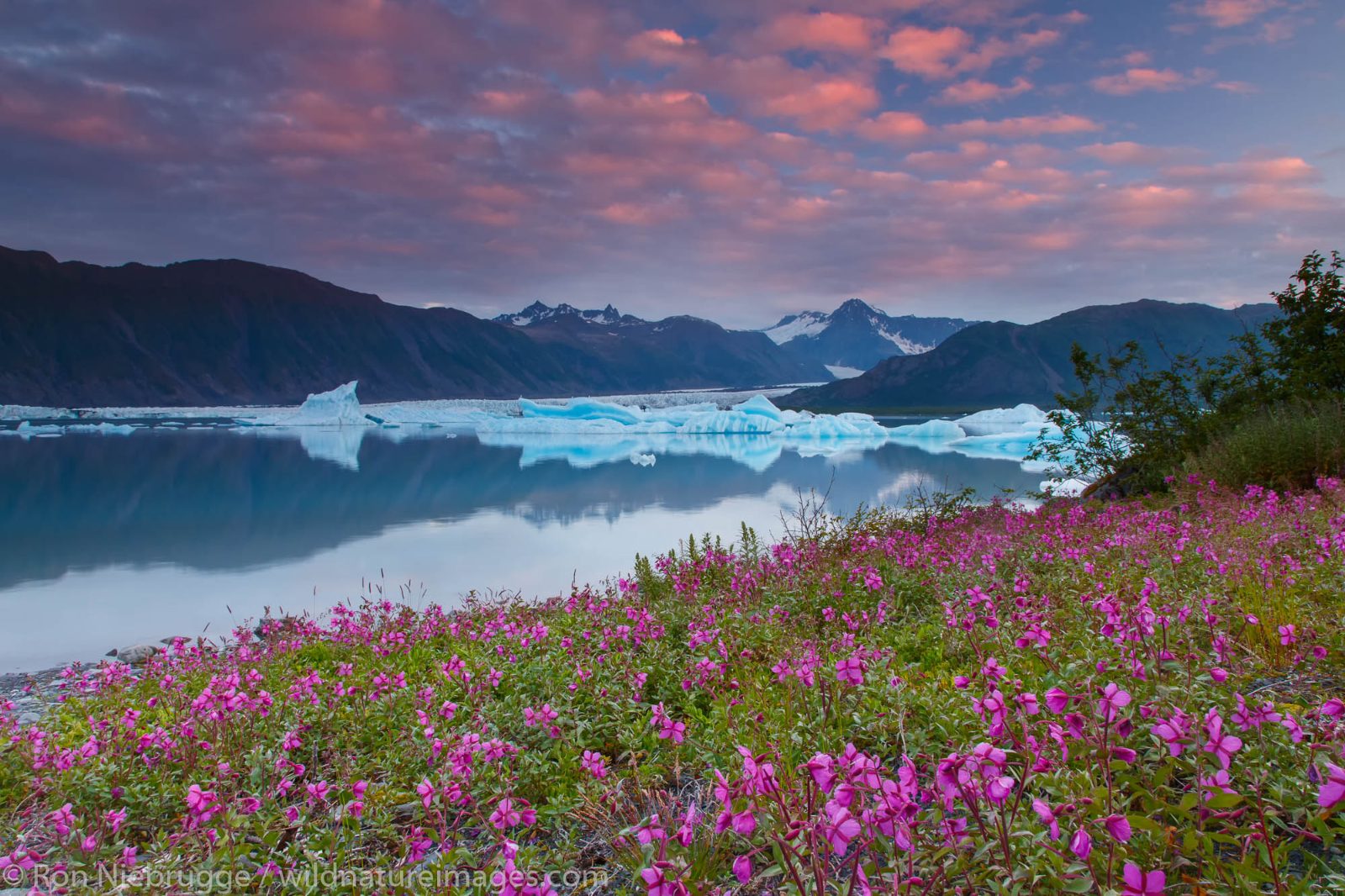 Bear Glacier