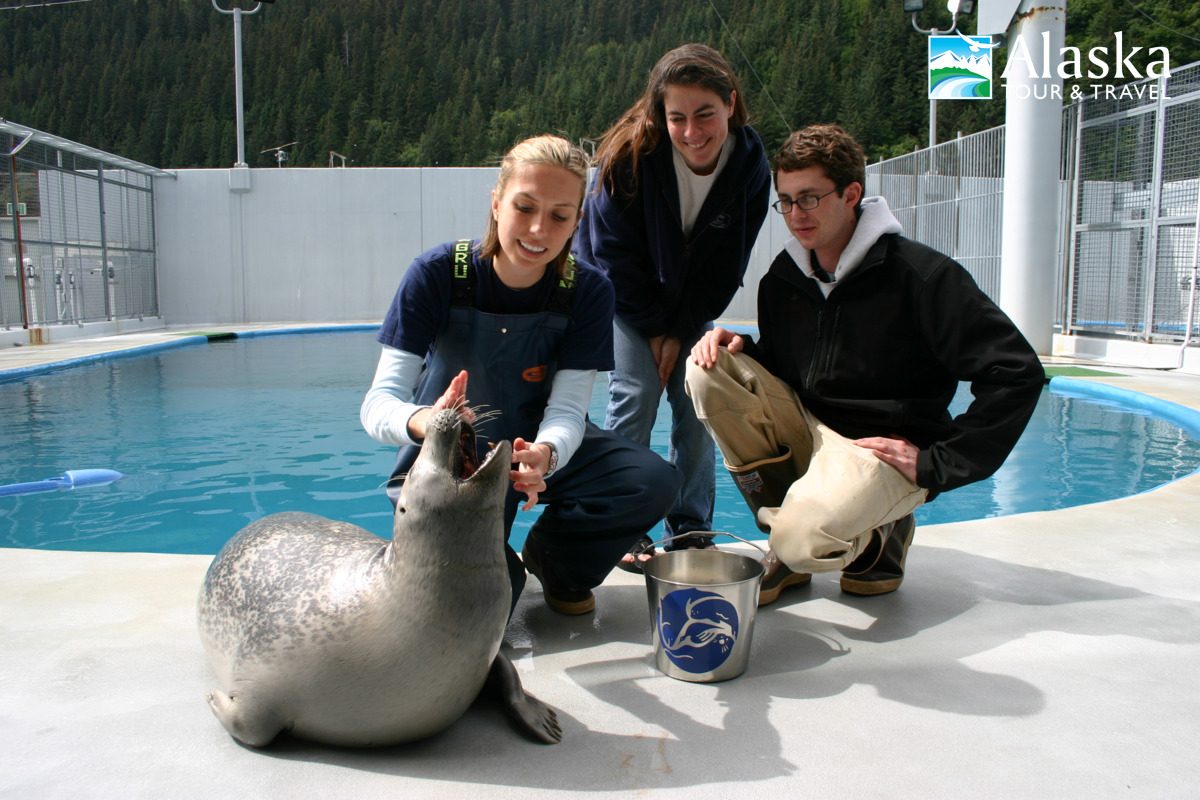 Alaska SeaLife Center