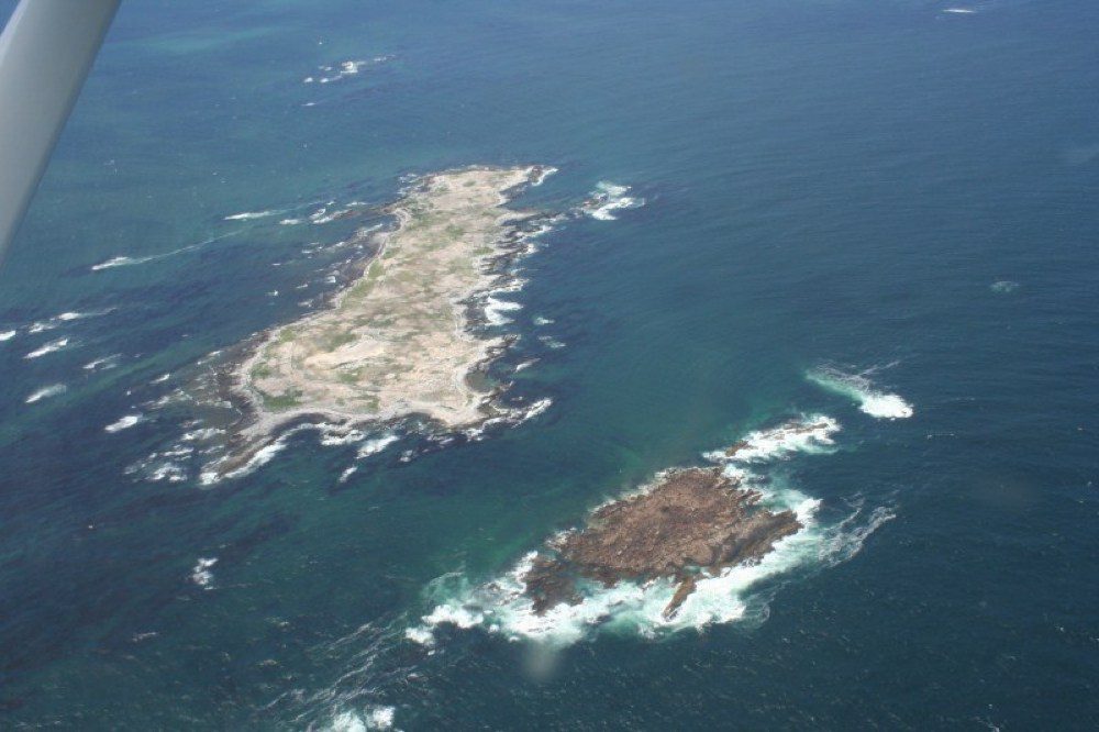 Gansbaai Shark Cage Diving at Shark Alley