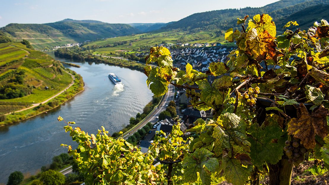 Best Moselle River Cruise