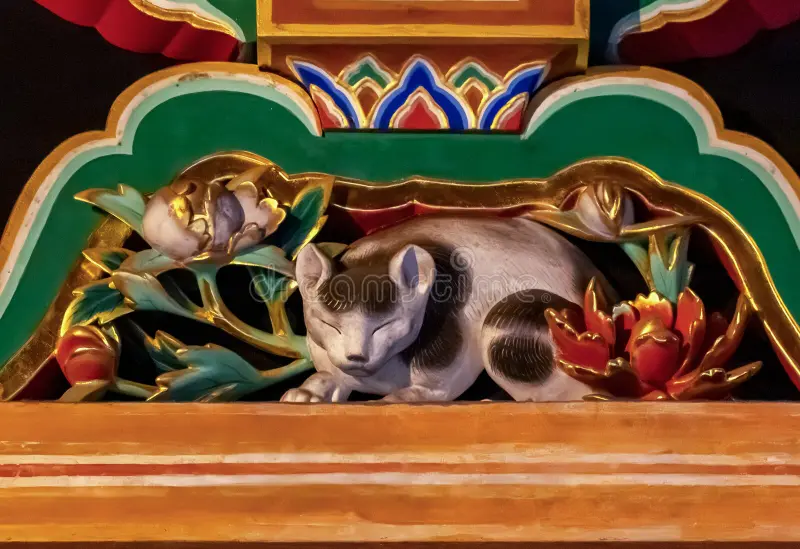 Sleeping Cat