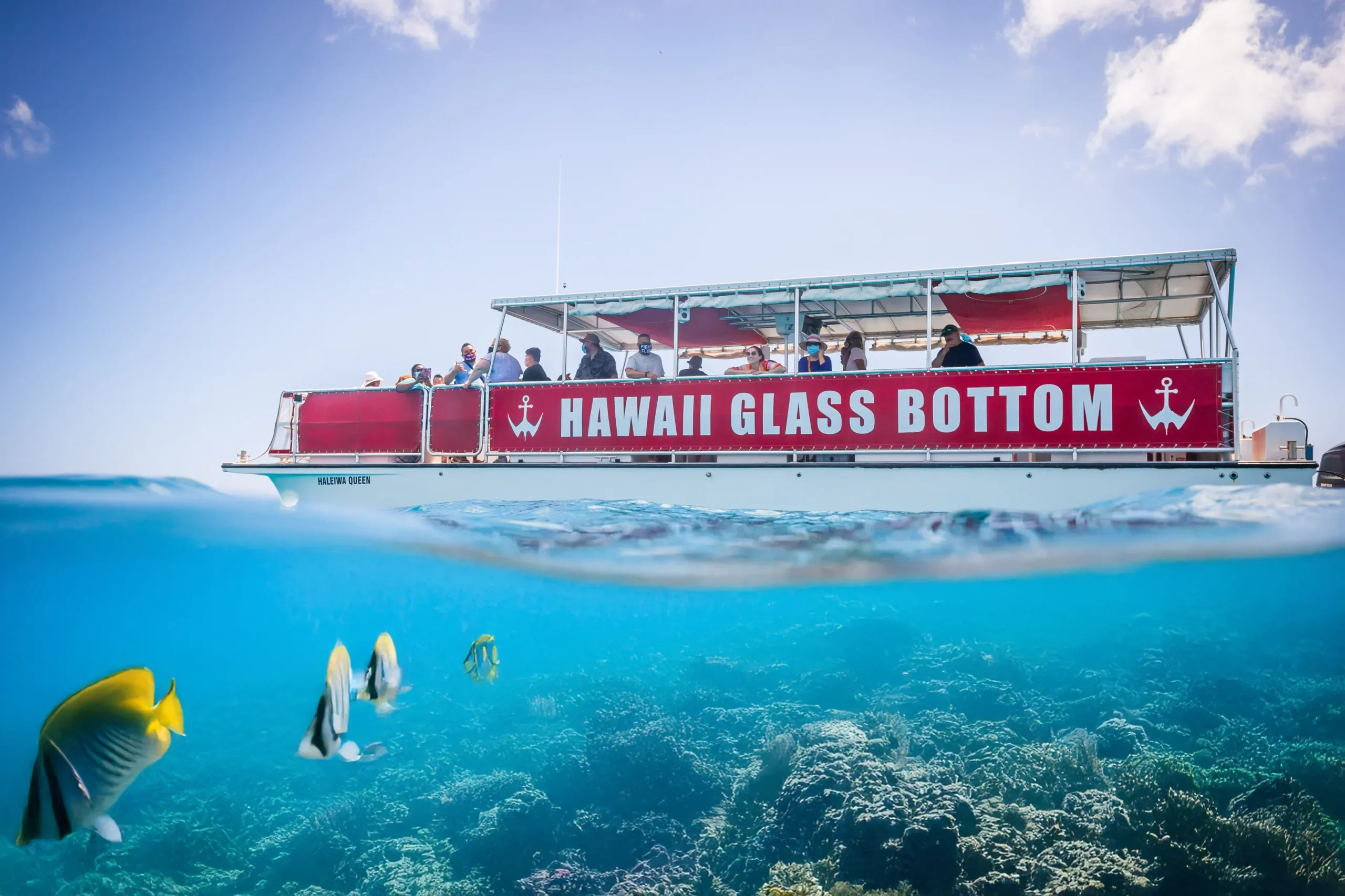 Hawaii Glass Bottom Boat Reviews