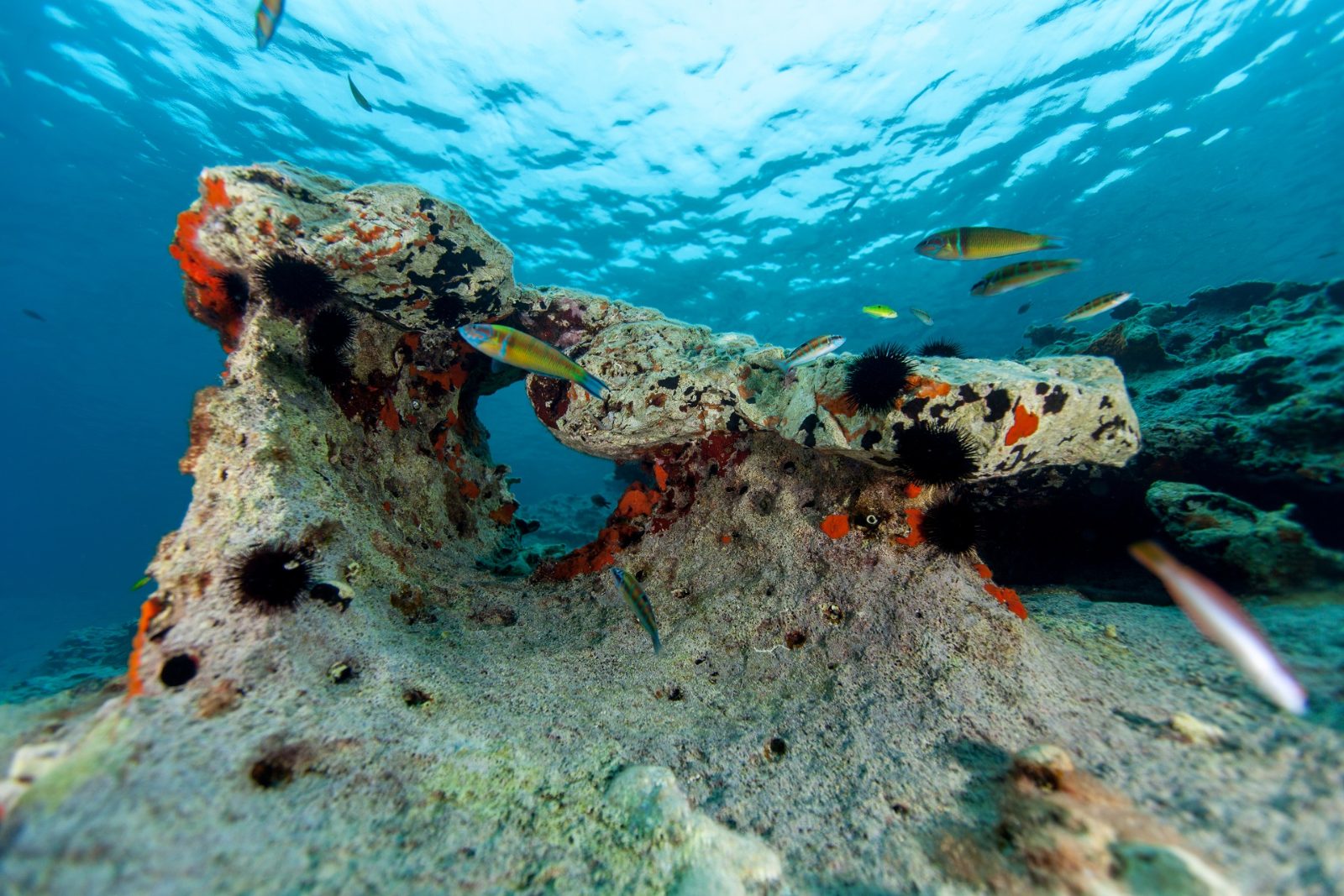 Lastovo Archipelago Nature Park