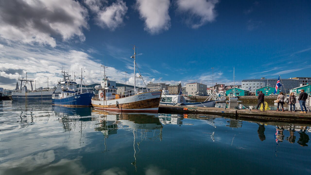 Reykjavik Food Tour: Harbour to Laugavegur