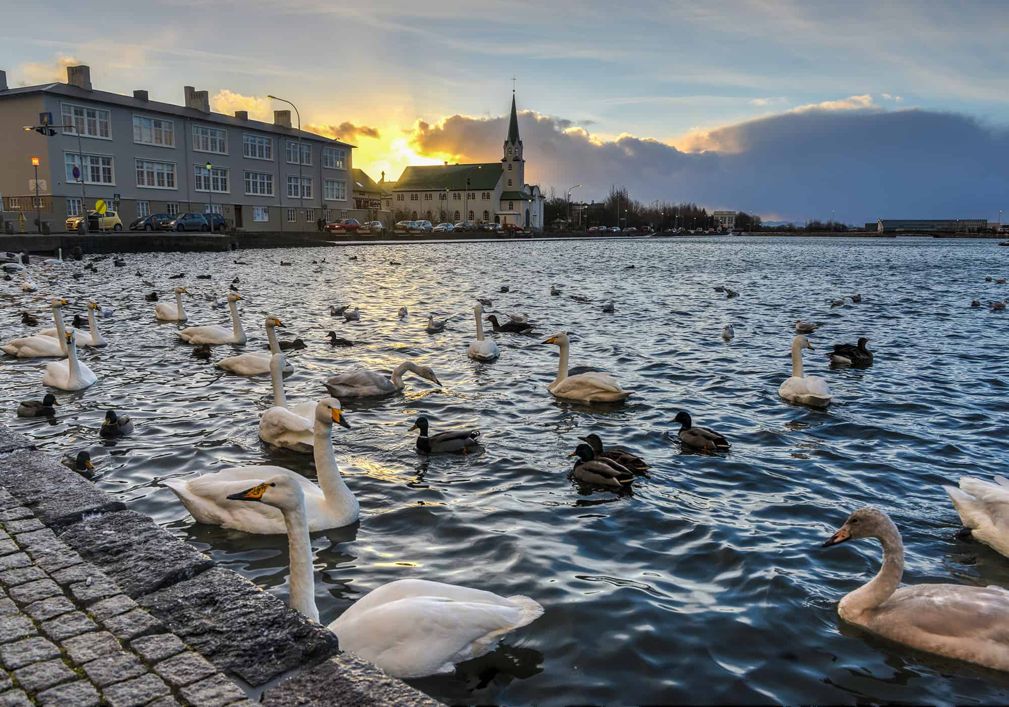 Tjörnin Pond