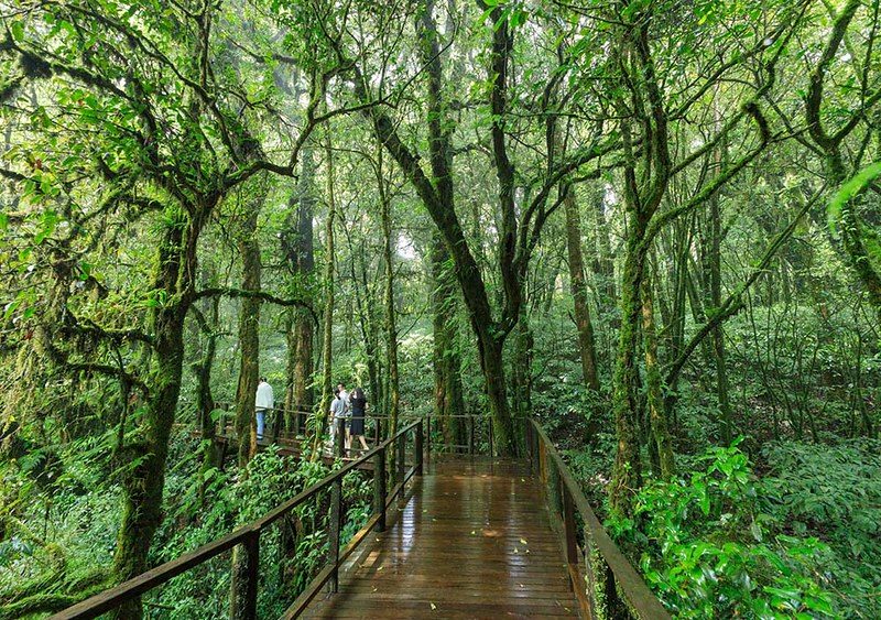 Doi Inthanon Summit