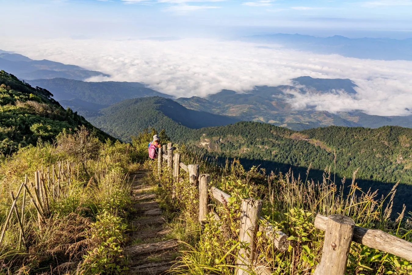 Kew Mae Pan Nature Trail