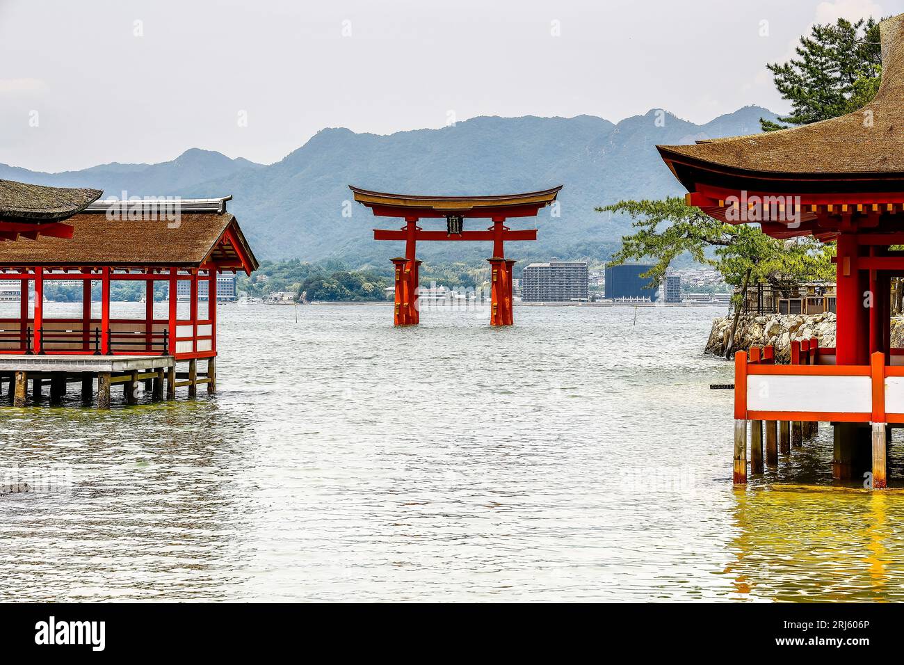 Osaka to Hiroshima Day Trip Essentials
