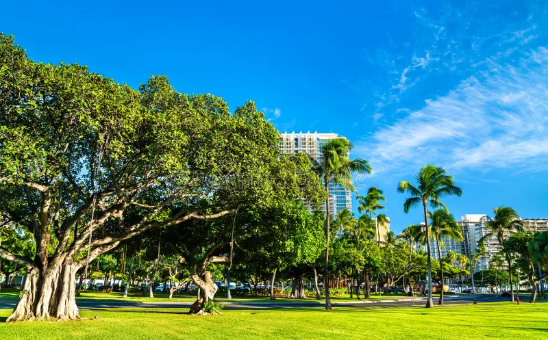 Fort DeRussy Park