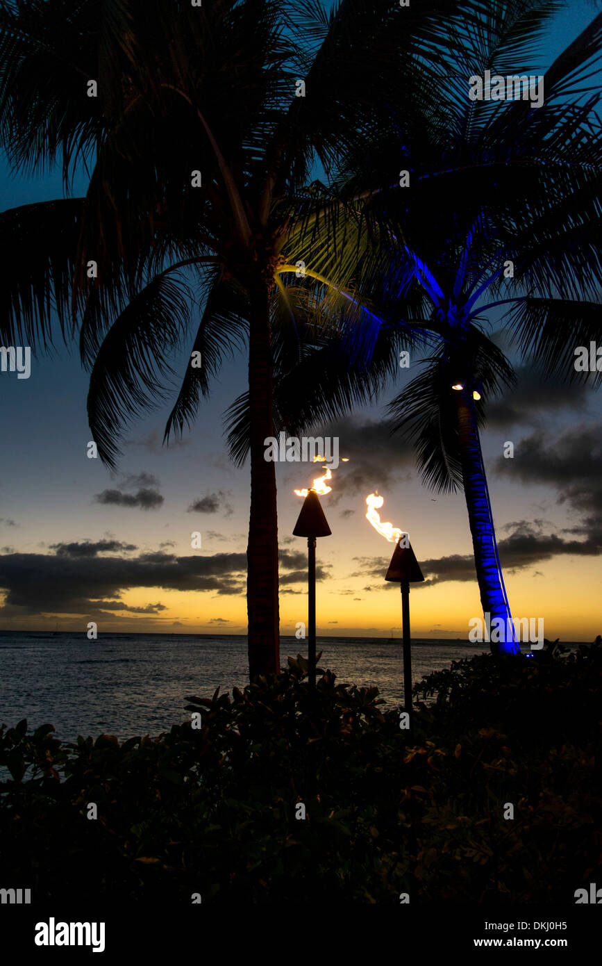 Your Waikiki Luau Evening at a Glance