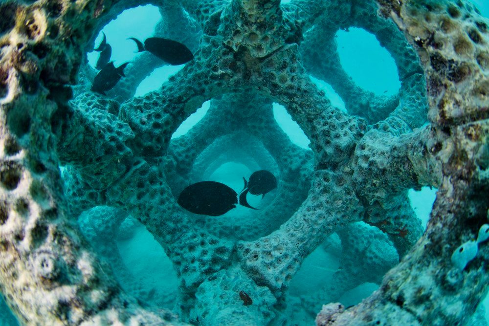 Artificial Reef