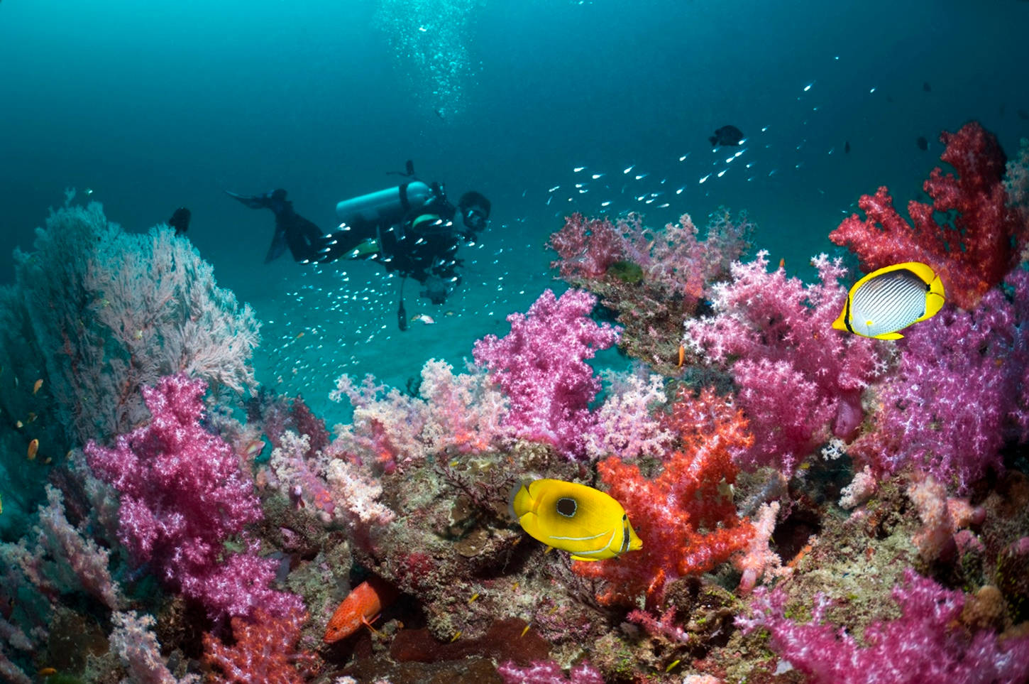 Snorkeling Langkawi Pantai Cenang