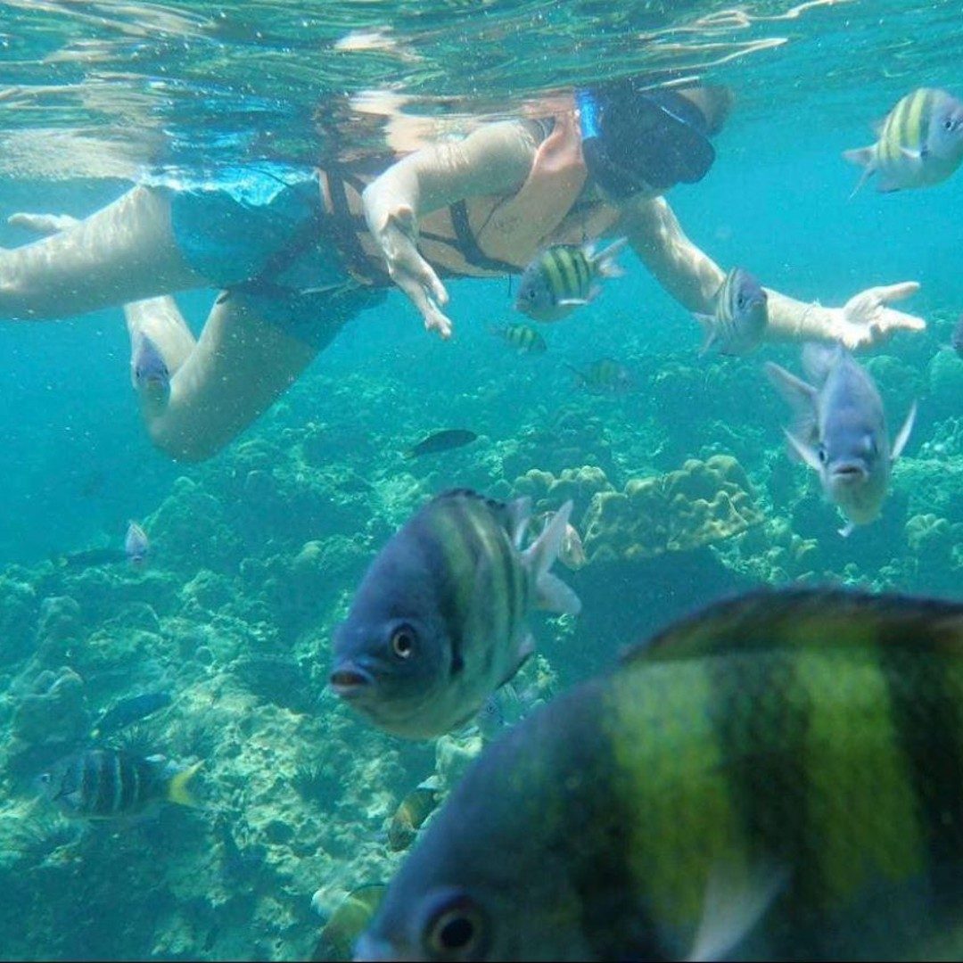 Langkawi Snorkeling Beach