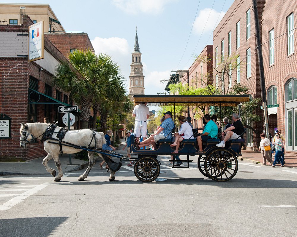 Charleston Carriage Tours