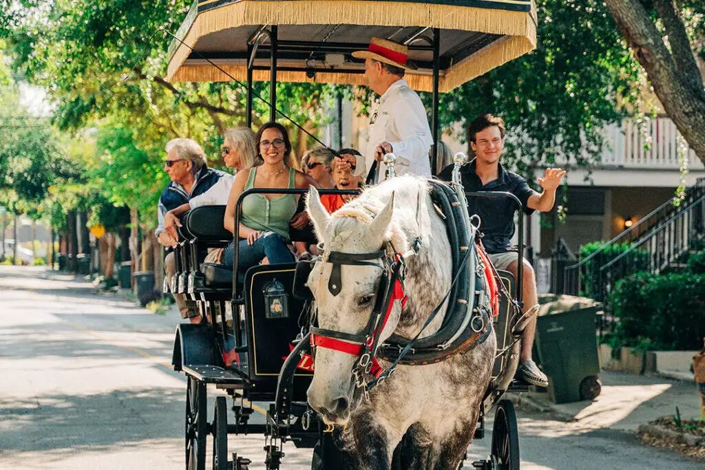 Your experience at Charleston Carriage Tours