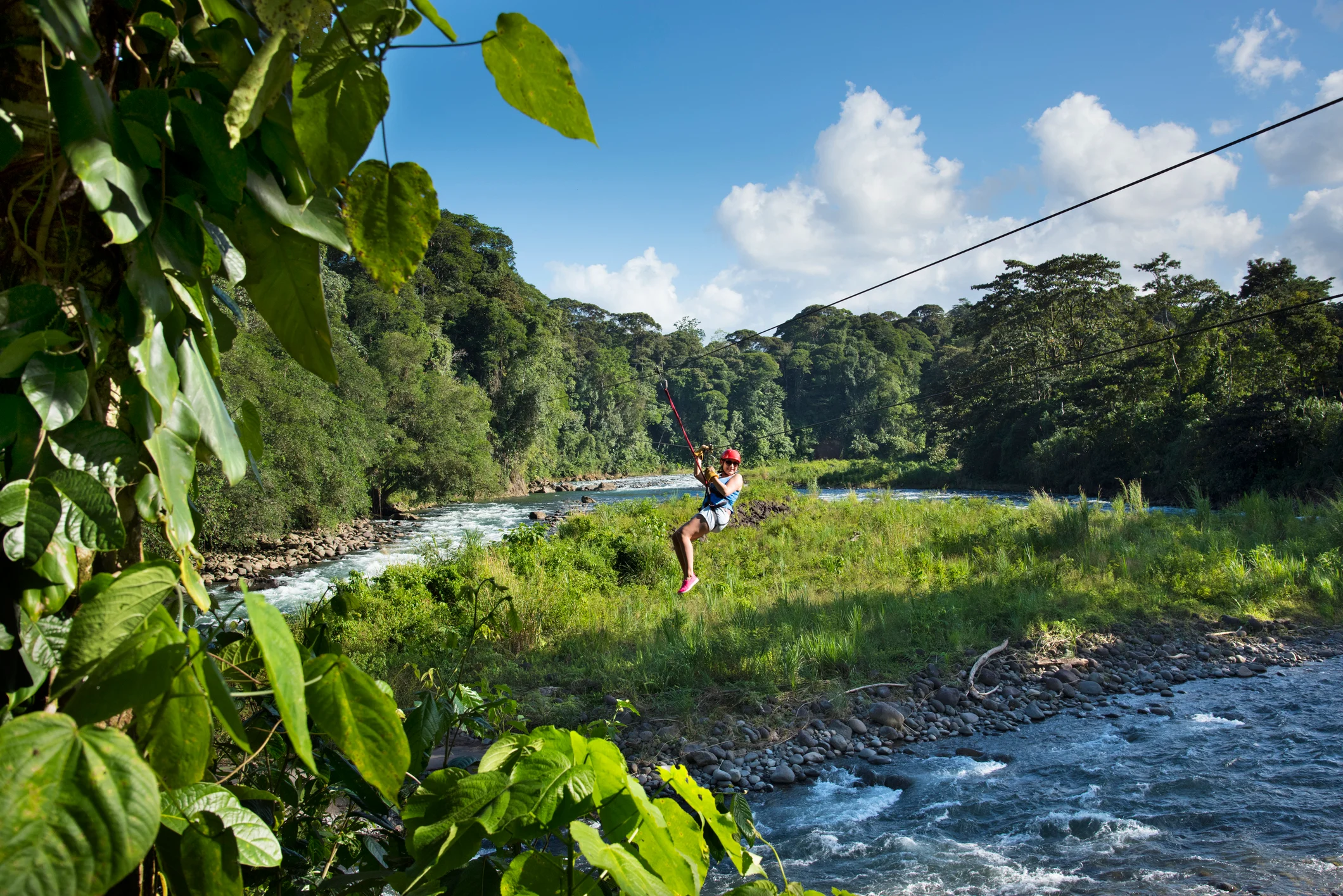 Suspension Bridge Crossing