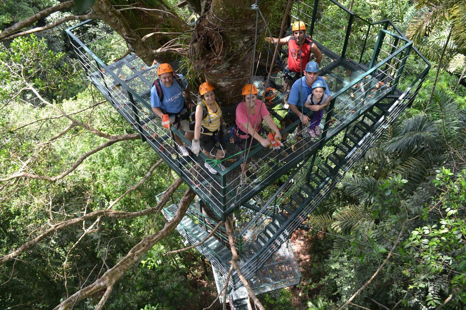 Canopy Platforms