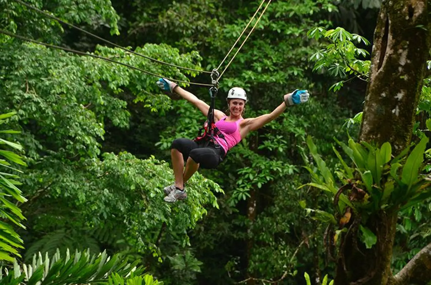 First Canopy Platform