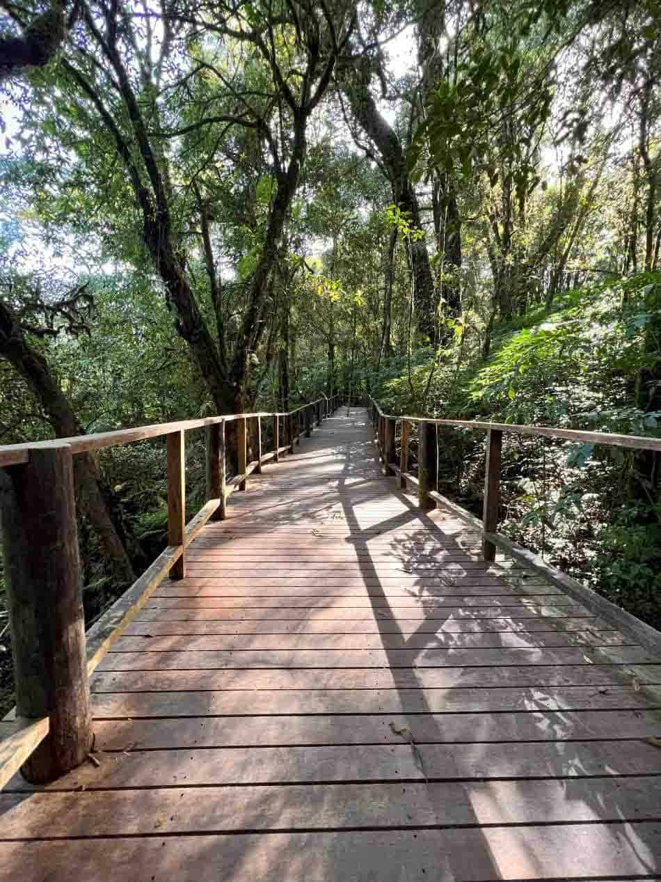 Ang Ka Nature Trail