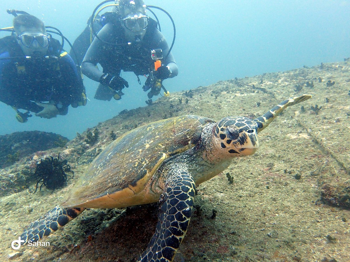 Trincomalee Diving Center