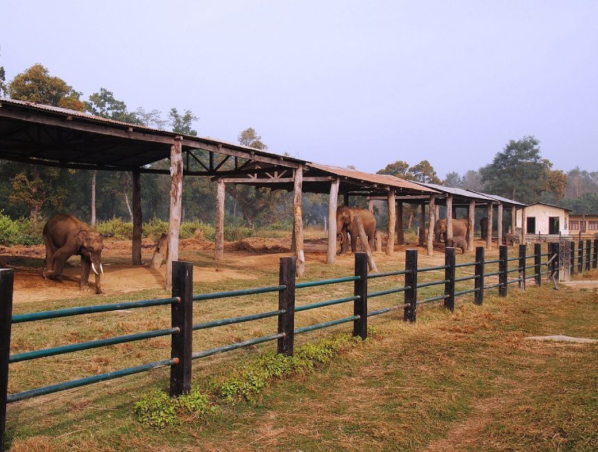 Elephant Breeding Centre, Khorsor