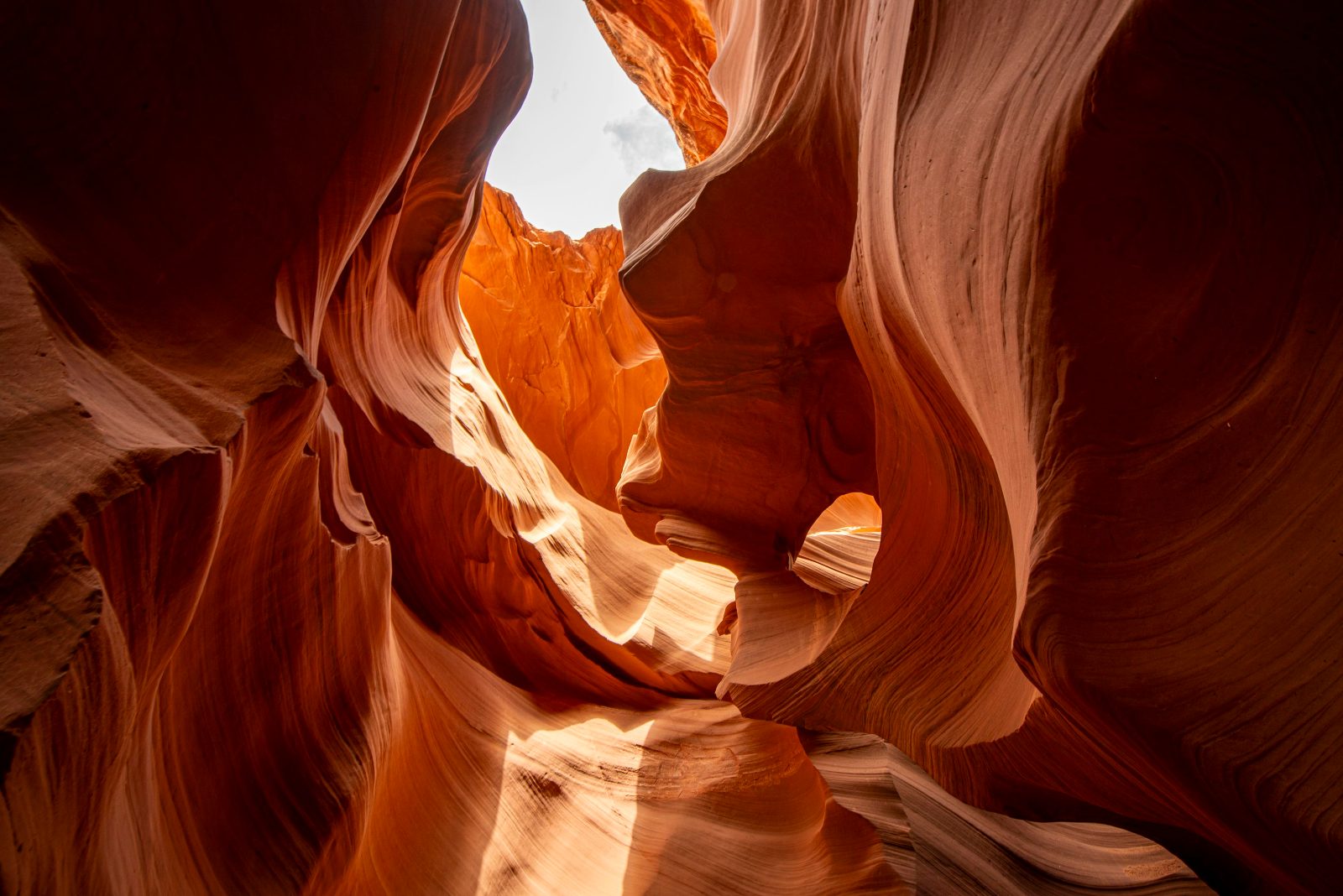 Sandstone Reflections