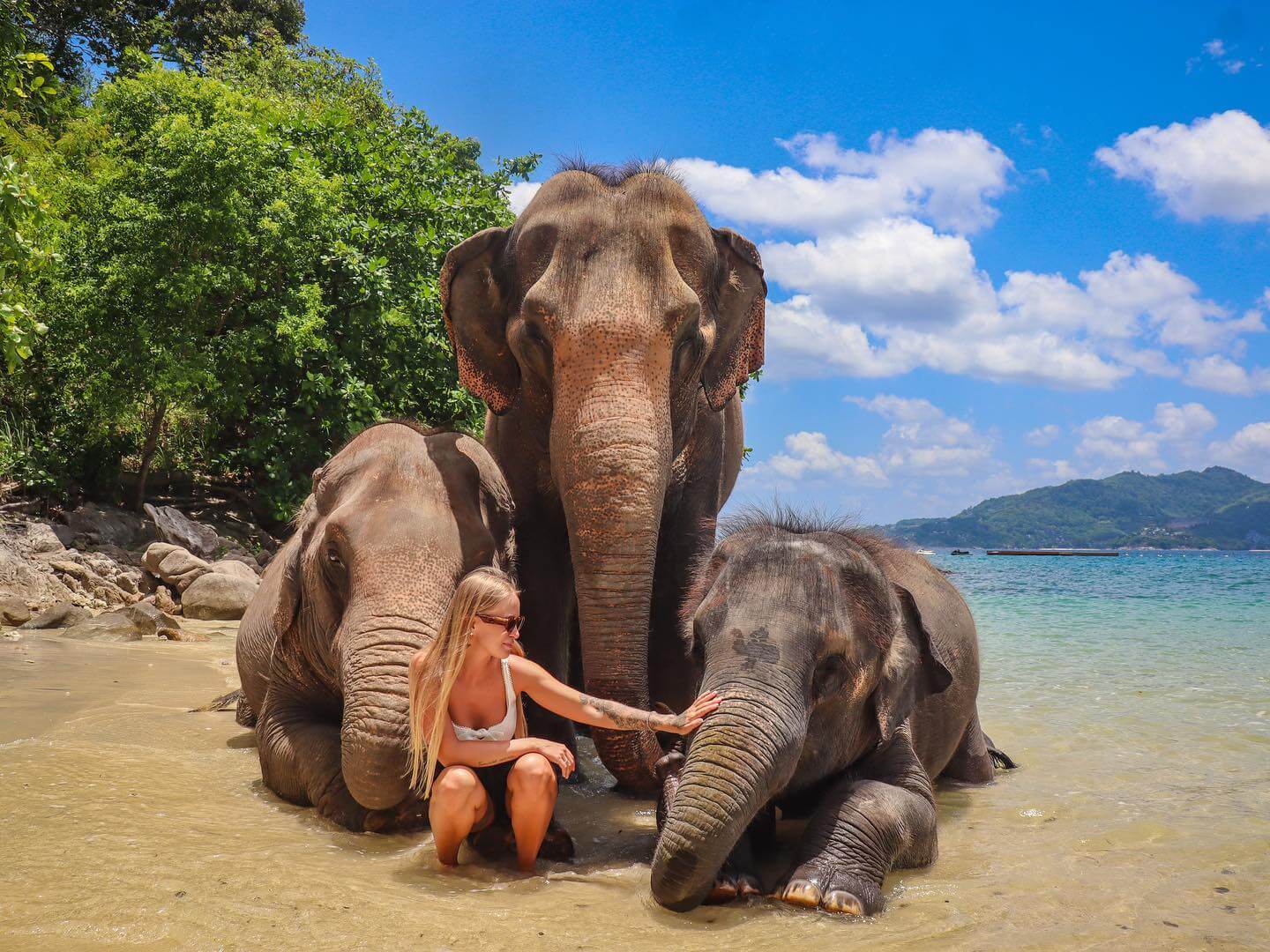 Elephant activities