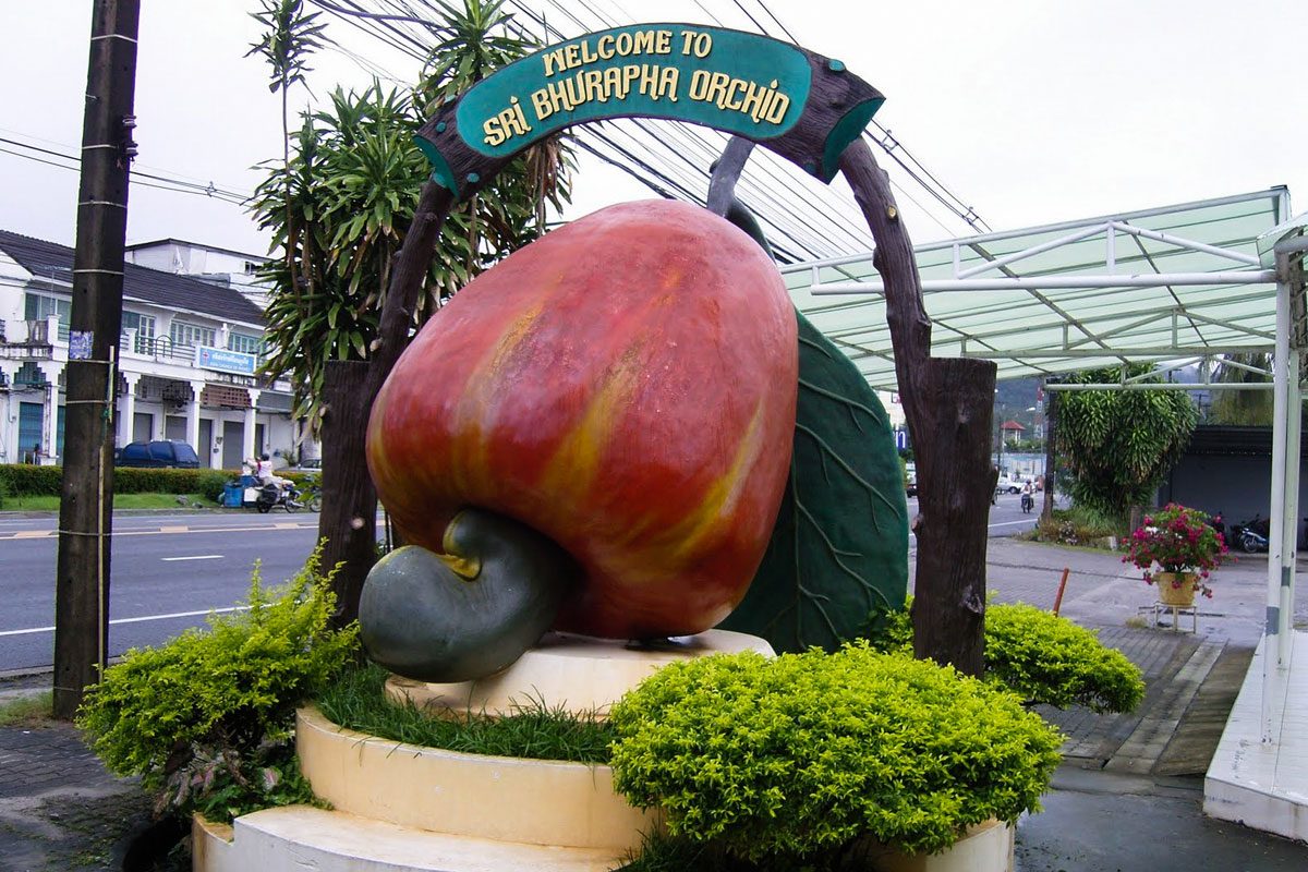 Cashew Nut Factory