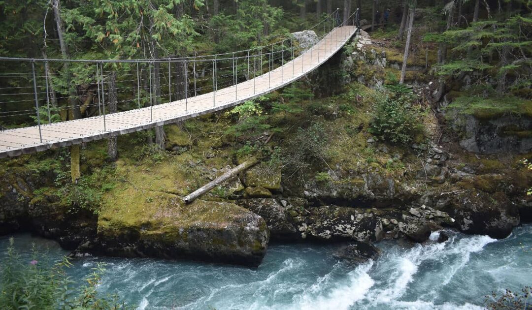 Fitzsimmons Creek Suspension Bridge