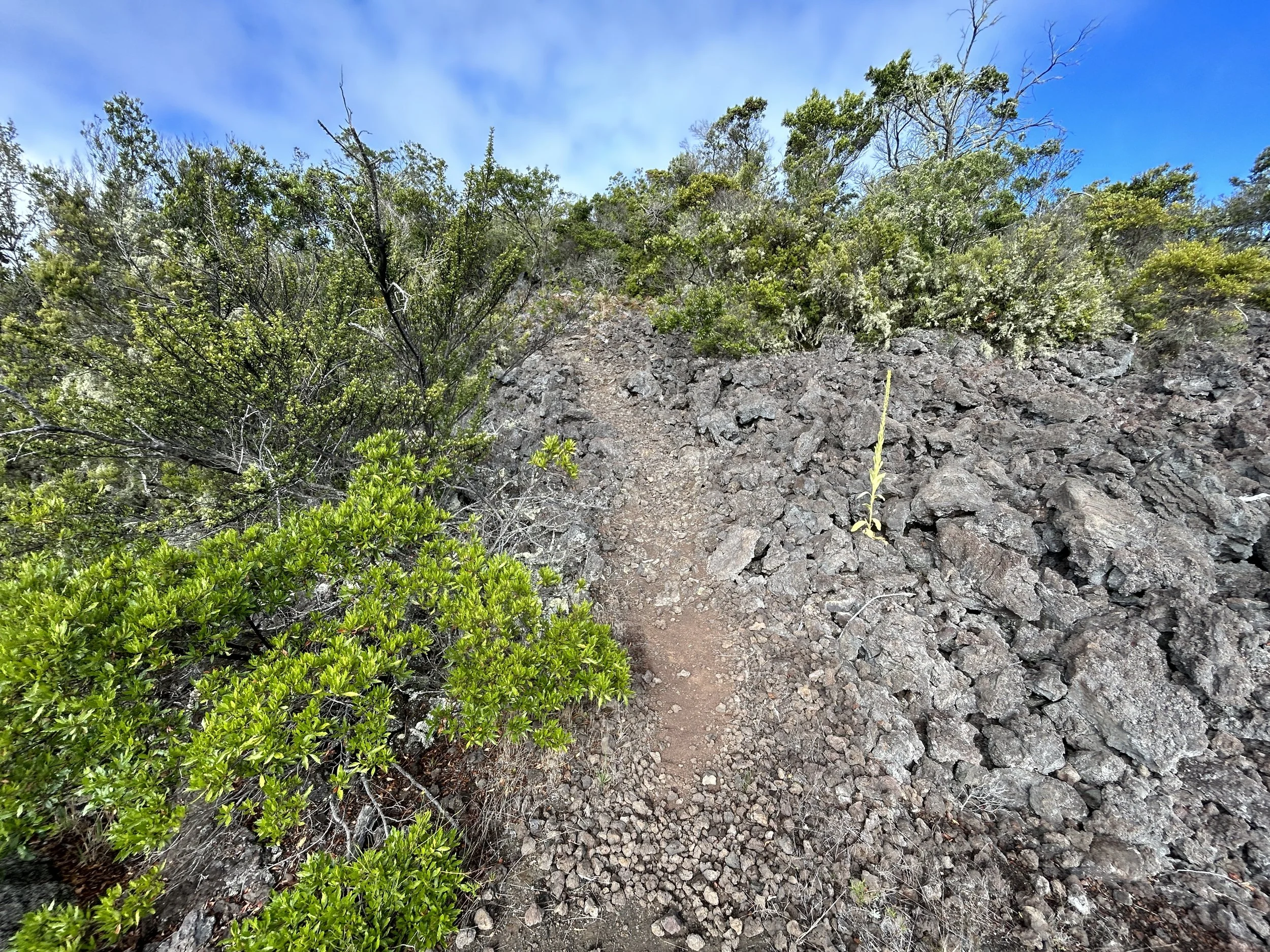 Puʻu Huluhulu