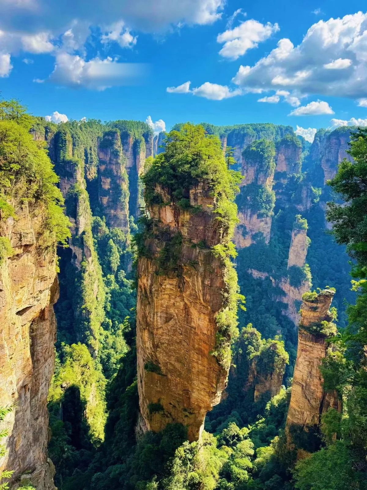 Zhangjiajie-retket — Usean päivän passit ja opastetut vaellukset