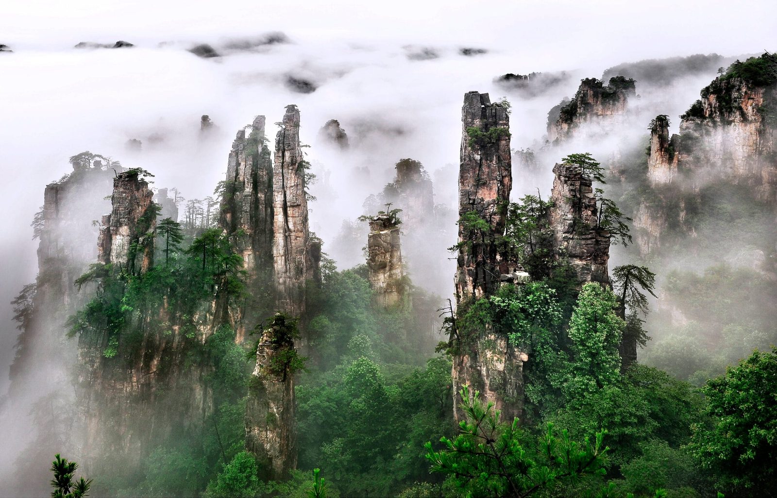 Tianzi Mountain