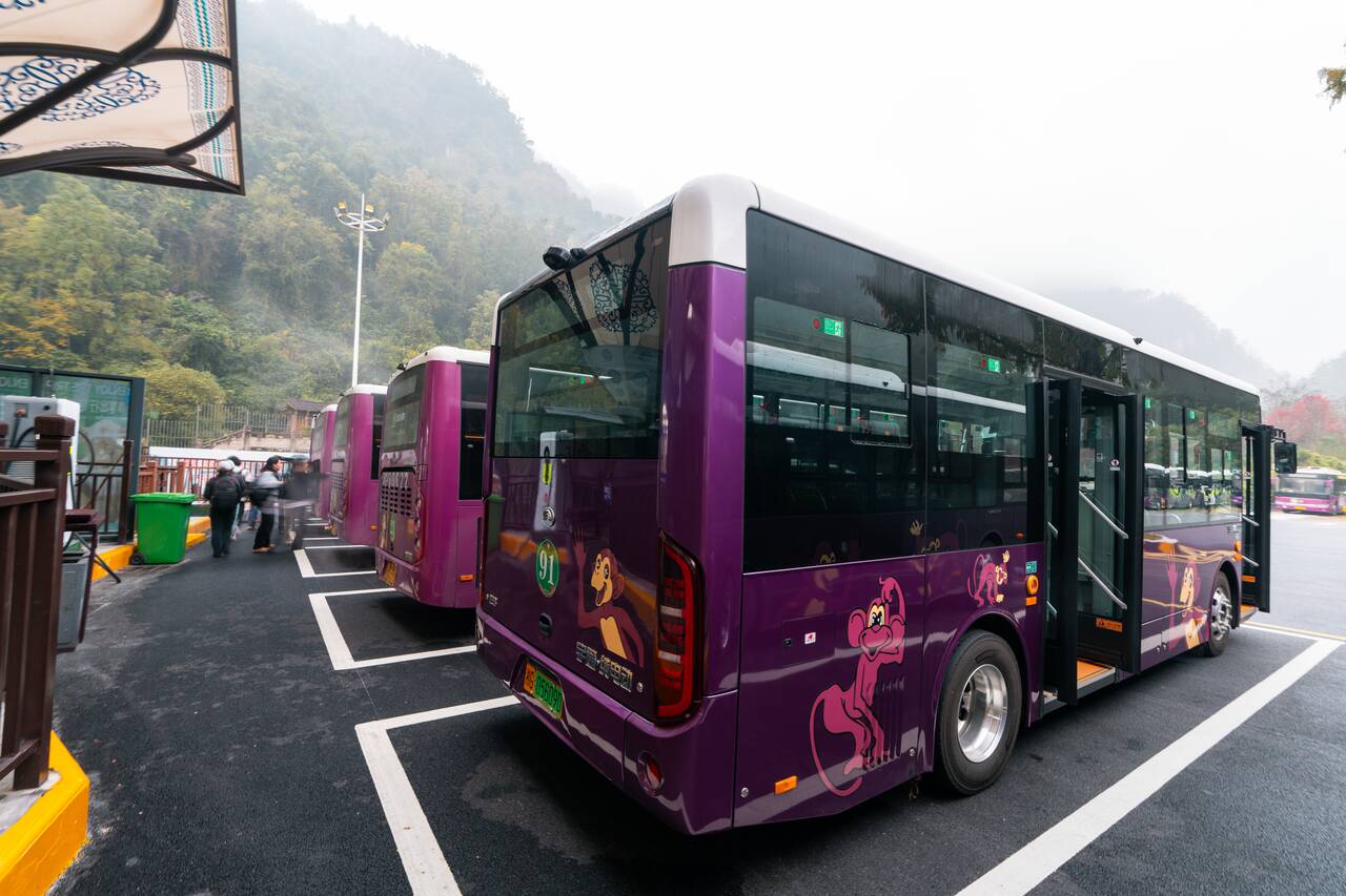Entrance Transit