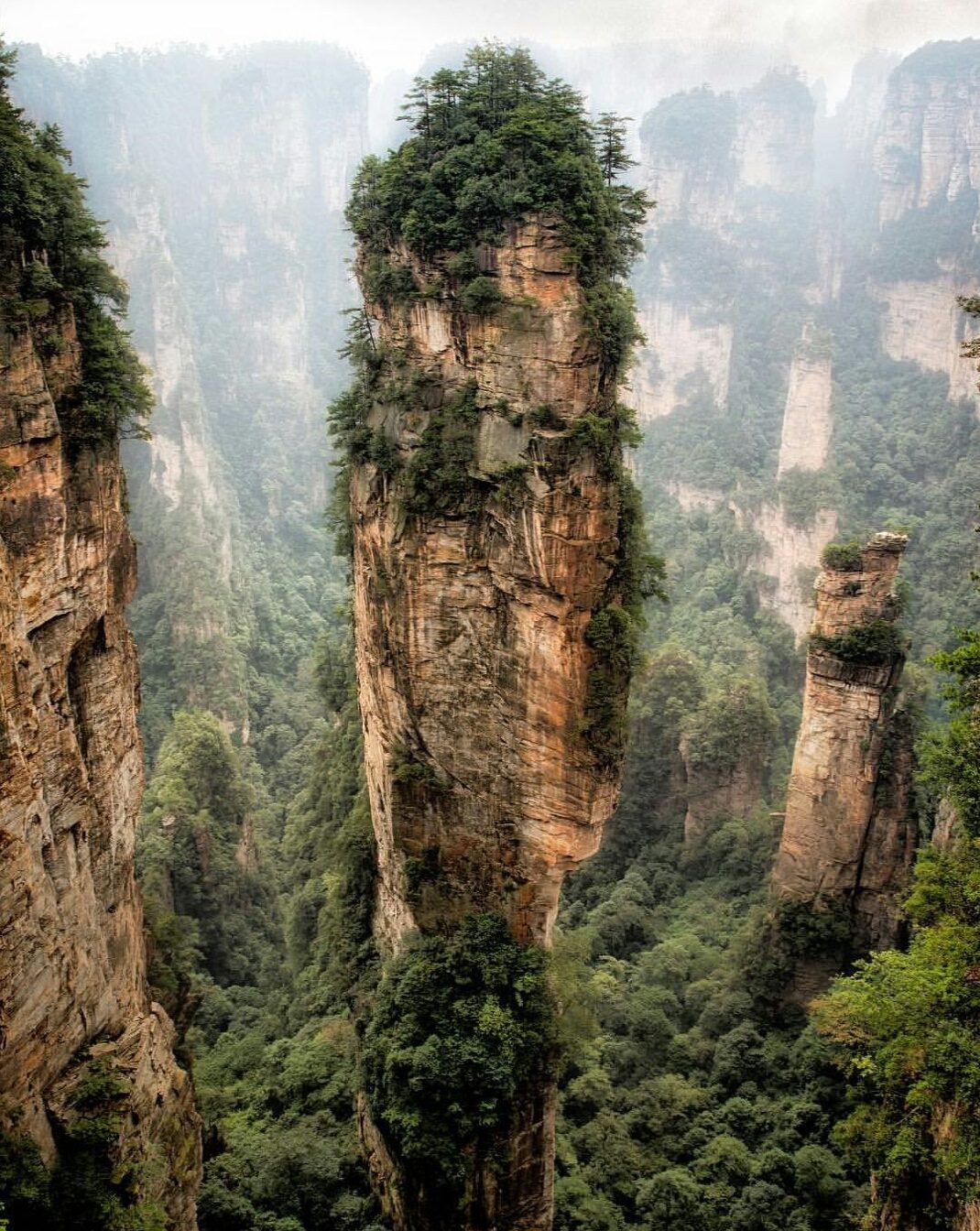 Avatar Hallelujah Mountain