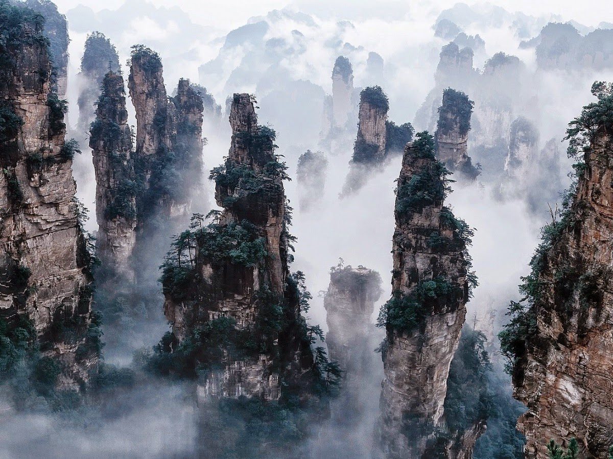 Tianzi Mountain