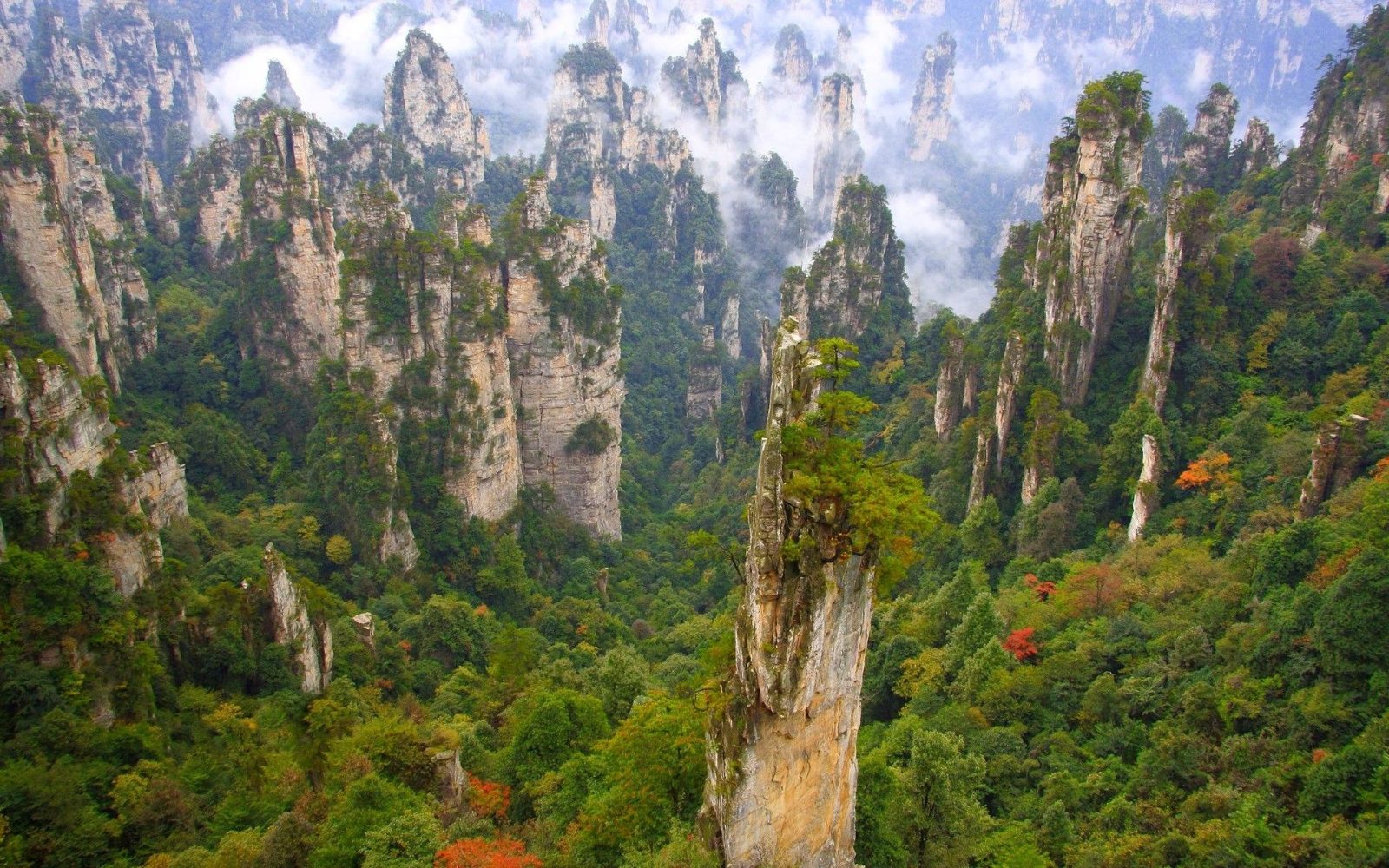 Yuanjiajie