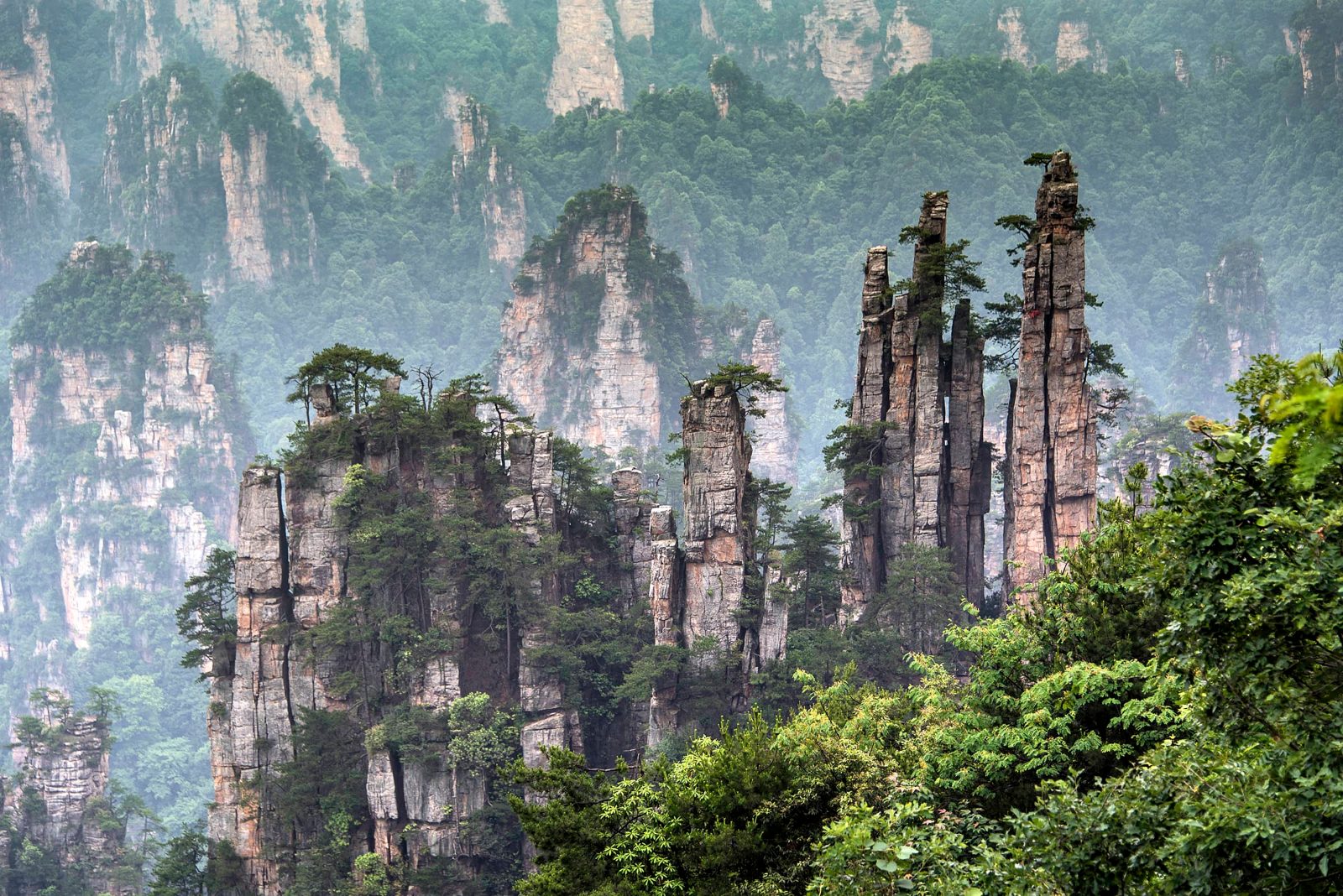 Tianzi Mountain