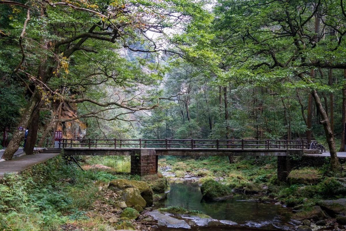 Zhangjiajie Hiking Tours