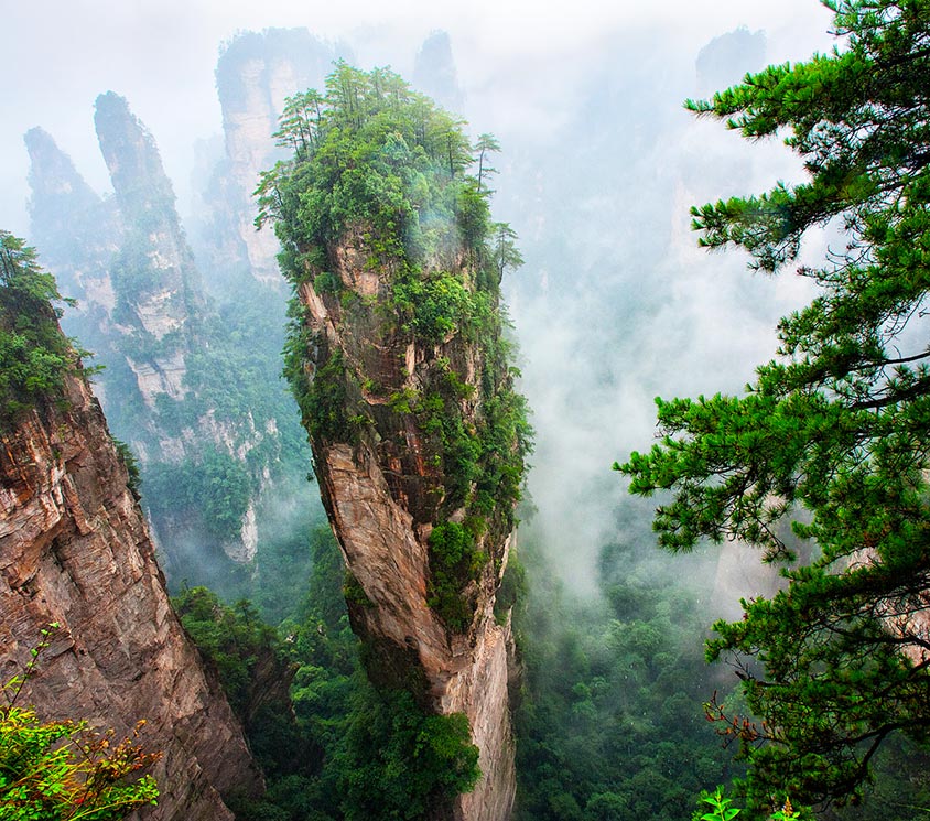 Avatar Hallelujah Mountain