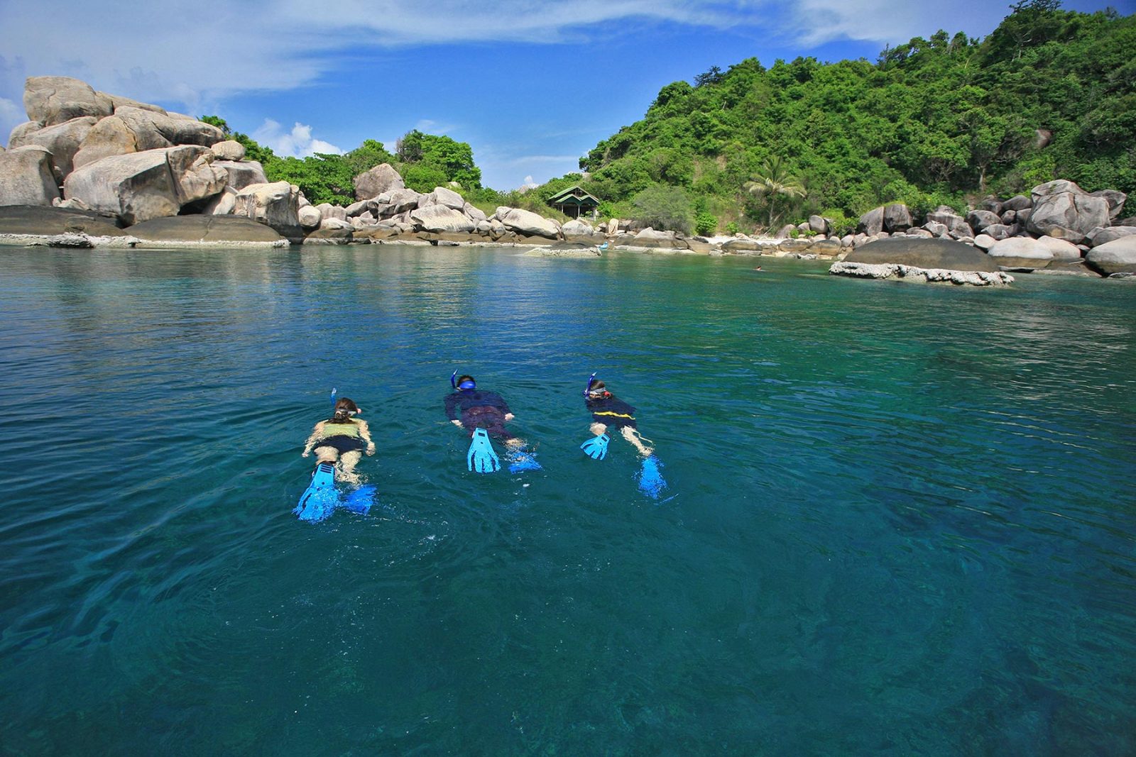 Koh Tao Snorkeling Tour