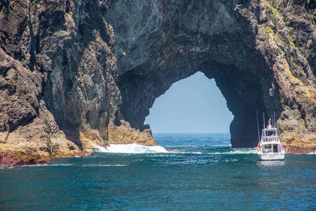 Hole in the Rock Cruise Prices