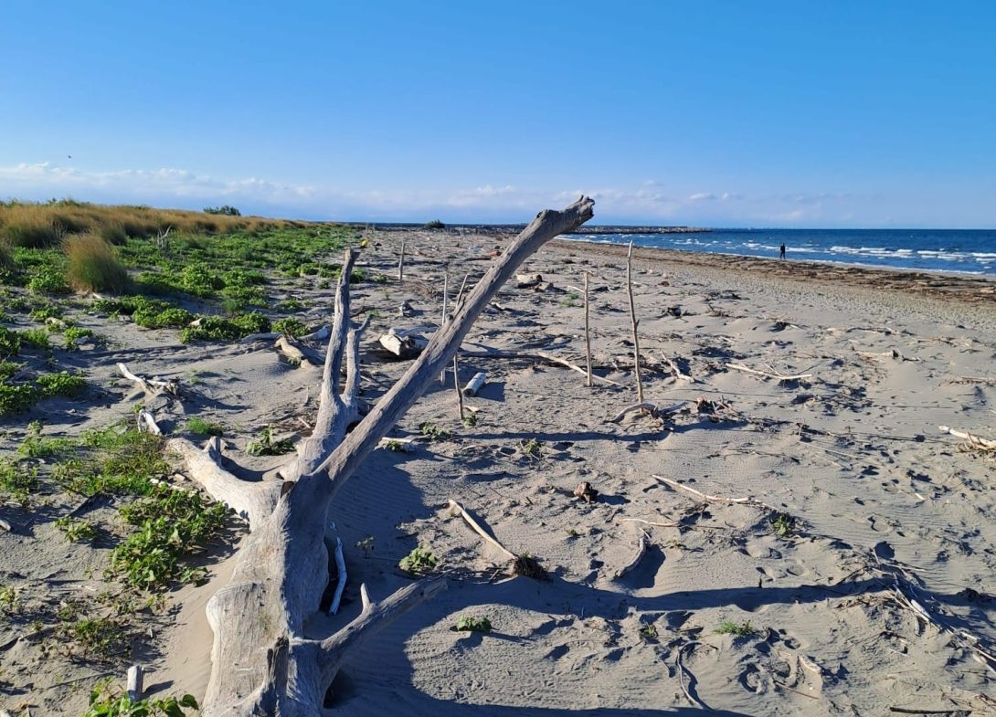Ca' Roman Nature Reserve