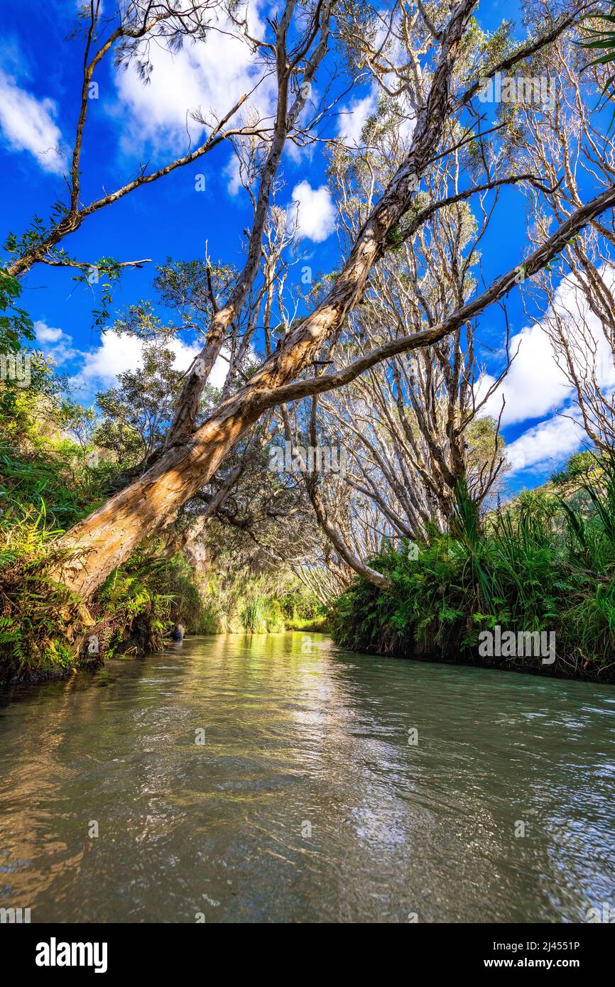 Eli Creek