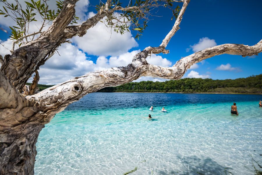 Fraser Island Tour