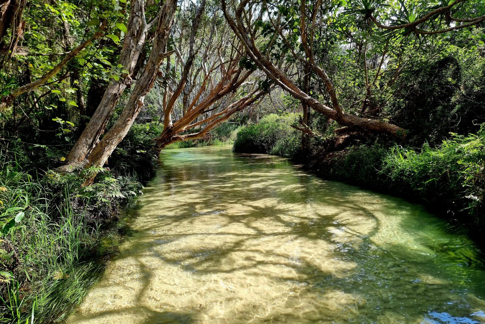 Eli Creek