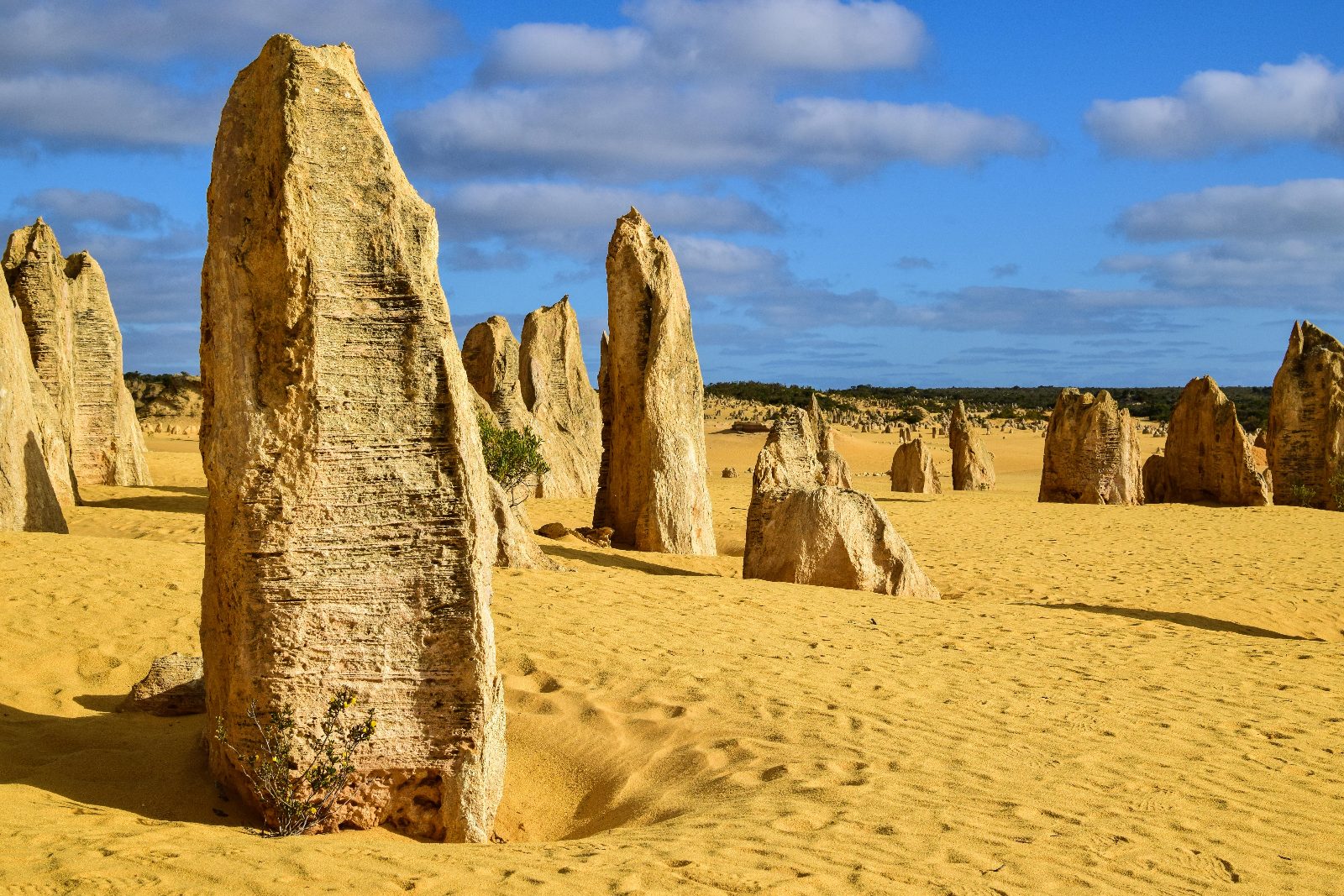 The Pinnacles
